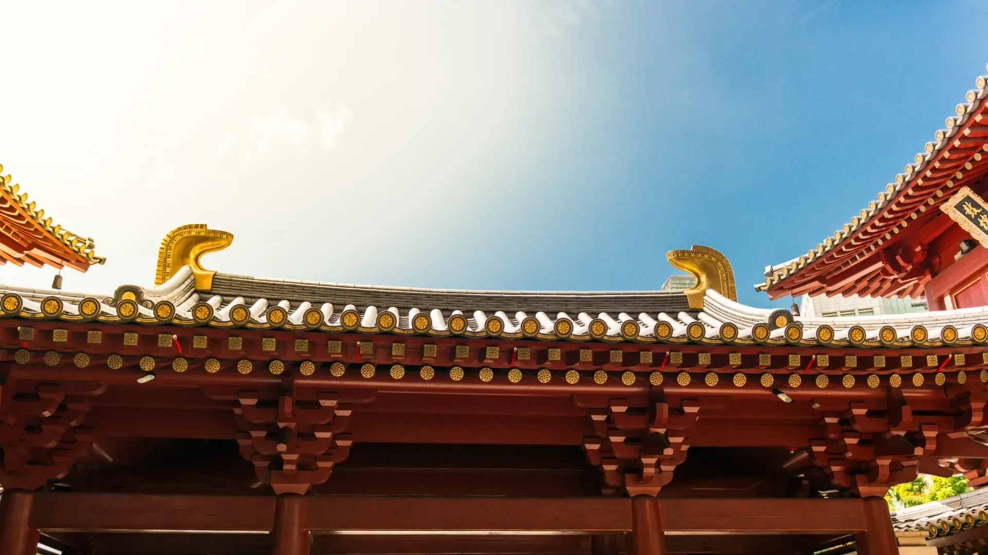 Buddha S Relic Tooth Temple Singapore Chinatown Cropped
